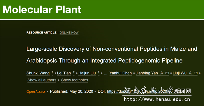 ��������ҳ��