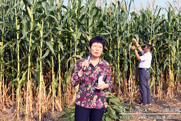 ʡ���ײ�ҵ��ϵ��ϯ��ѧ�ҡ����˵�Ӱ
��������ڽ������������������